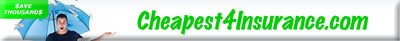 cheap insurance marketing website