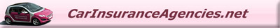 car insurance agent website