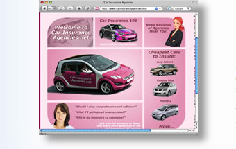 auto insurance website